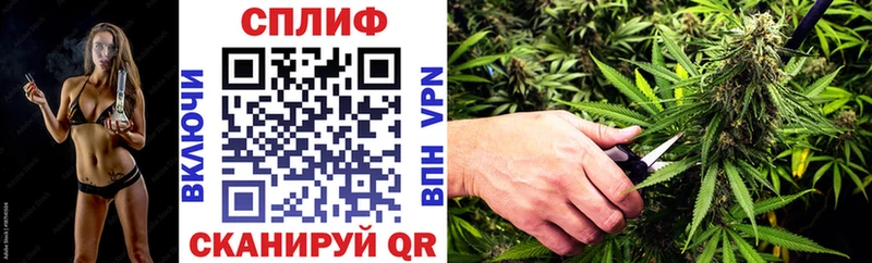 Альфа ПВП Нововоронеж
