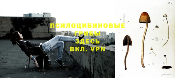 таблы Алзамай