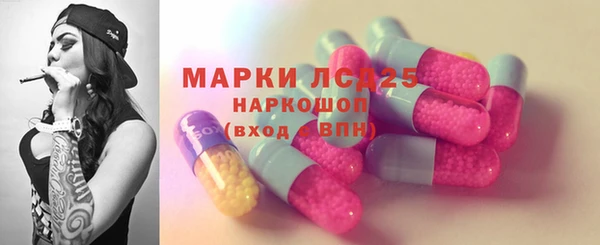 2c-b Пестово