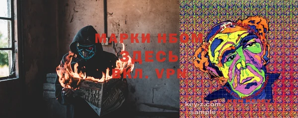 метадон Алексин