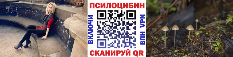 продажа наркотиков  Нововоронеж  Псилоцибиновые грибы мухоморы 